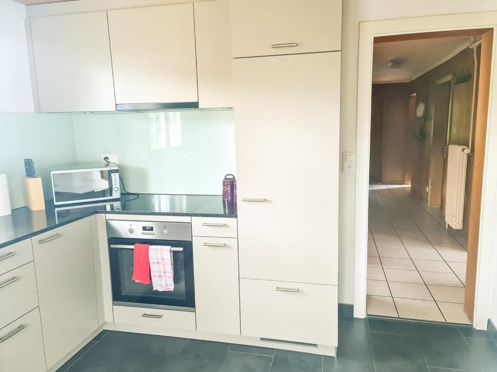 Abendberg Apartment - Aare Jungfrau Ag Wilderswil Dış mekan fotoğraf