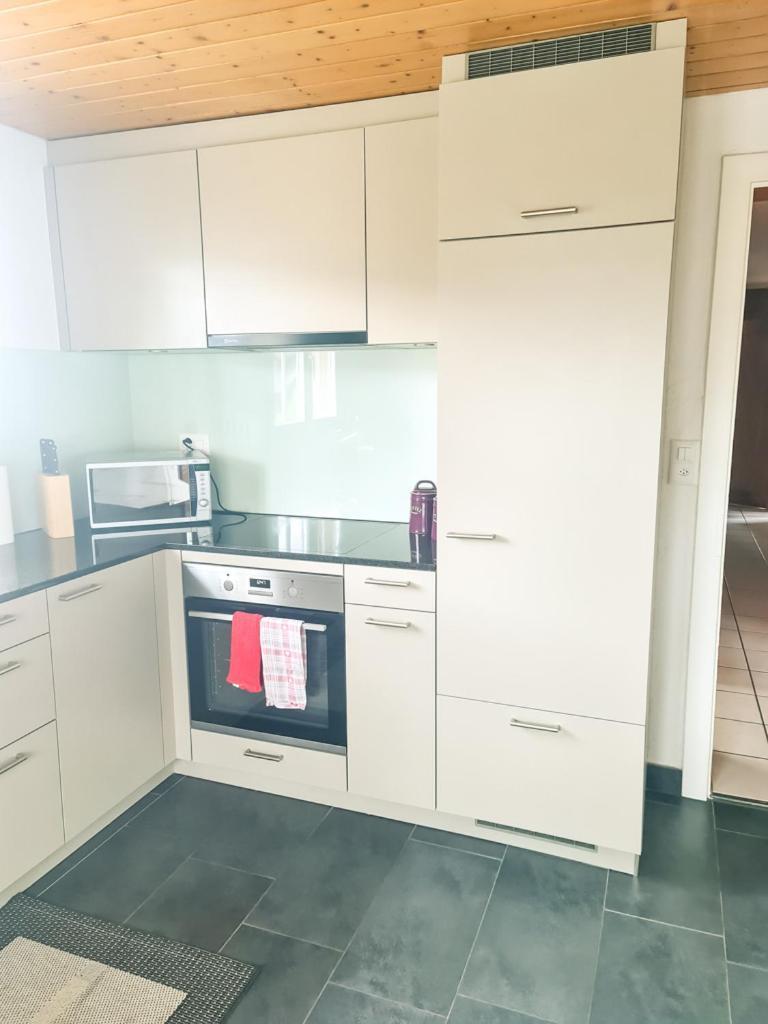 Abendberg Apartment - Aare Jungfrau Ag Wilderswil Dış mekan fotoğraf