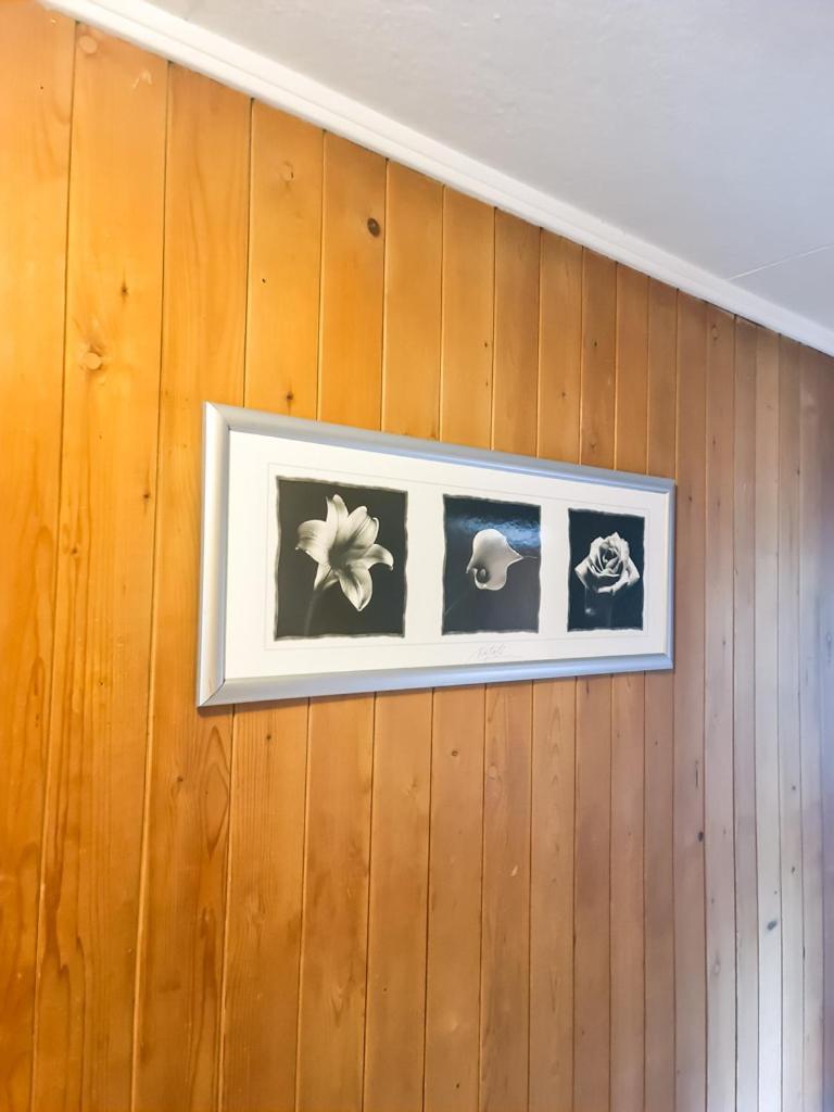 Abendberg Apartment - Aare Jungfrau Ag Wilderswil Dış mekan fotoğraf